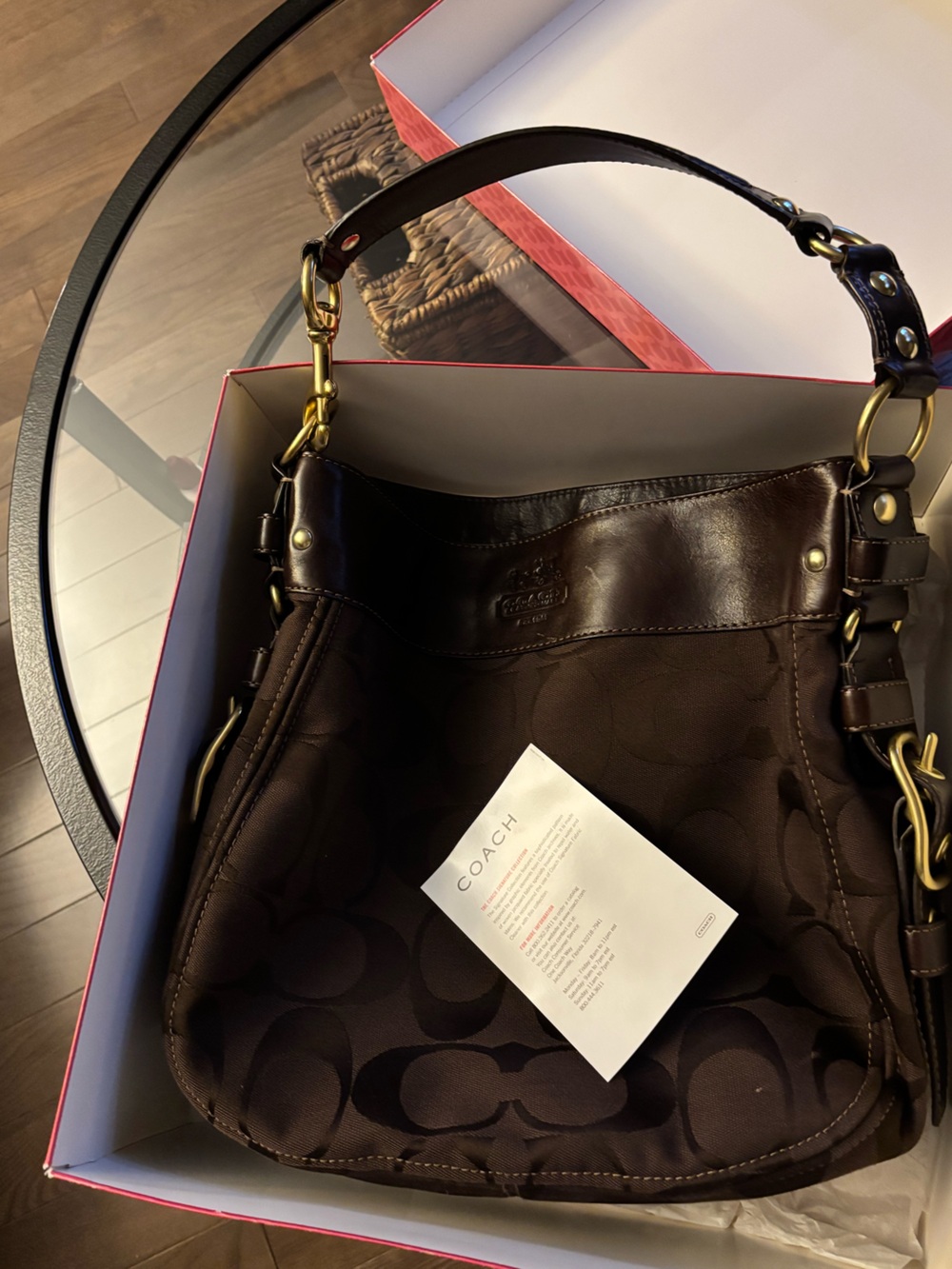 Coach Zoe Hobo Bag Large